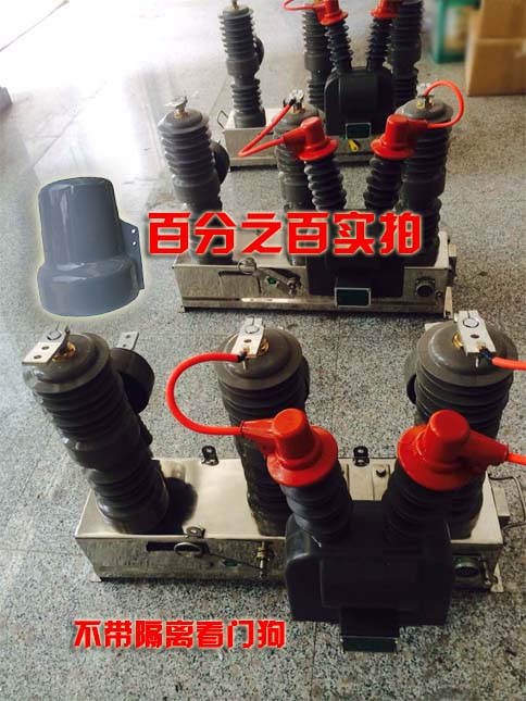 ZW32-12F看門(mén)狗分界真空斷路器