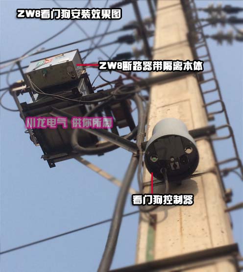 ZW8看門狗安裝效果