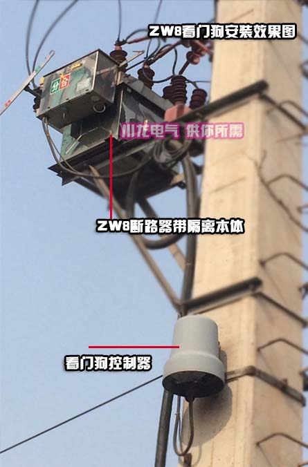 ZWHF-12分界真空斷路器