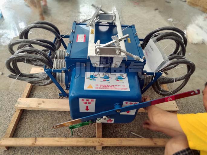 FZW28-12F看門狗真空分界負(fù)荷開關(guān)