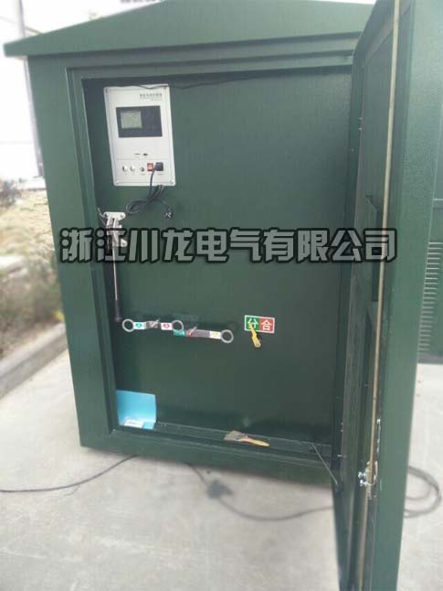 CDW34看門狗分界開關(guān)柜，落地式看門狗